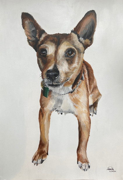 "Miggs" A3