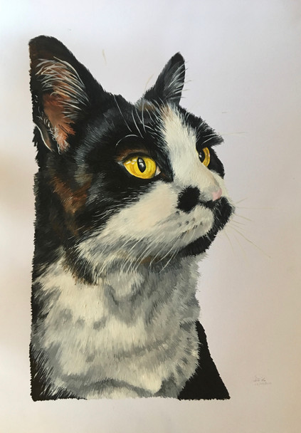 "Basil" A2