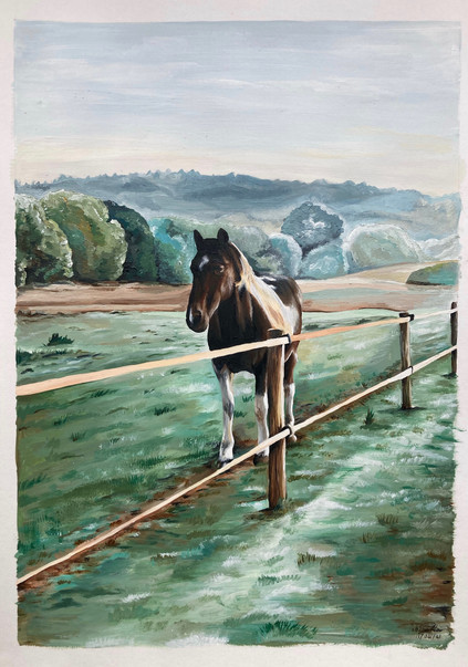 "Otto" A3