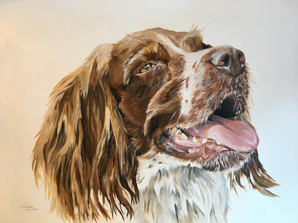 "Maddie" A2