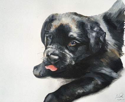 "Mollie" A3