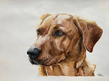 "Lexi" A3