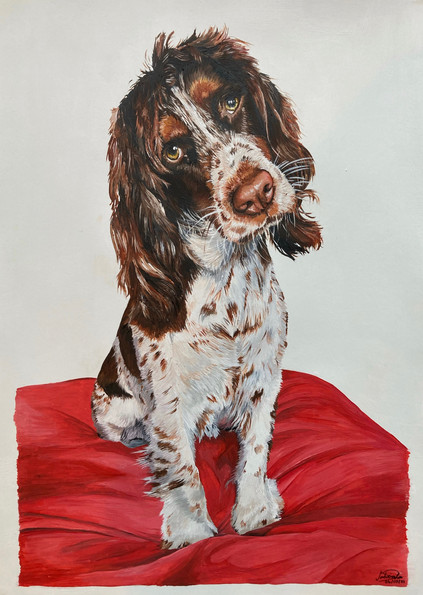 "Twix" A3