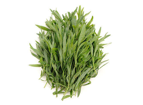 Estragón Fresco | FhalconFood