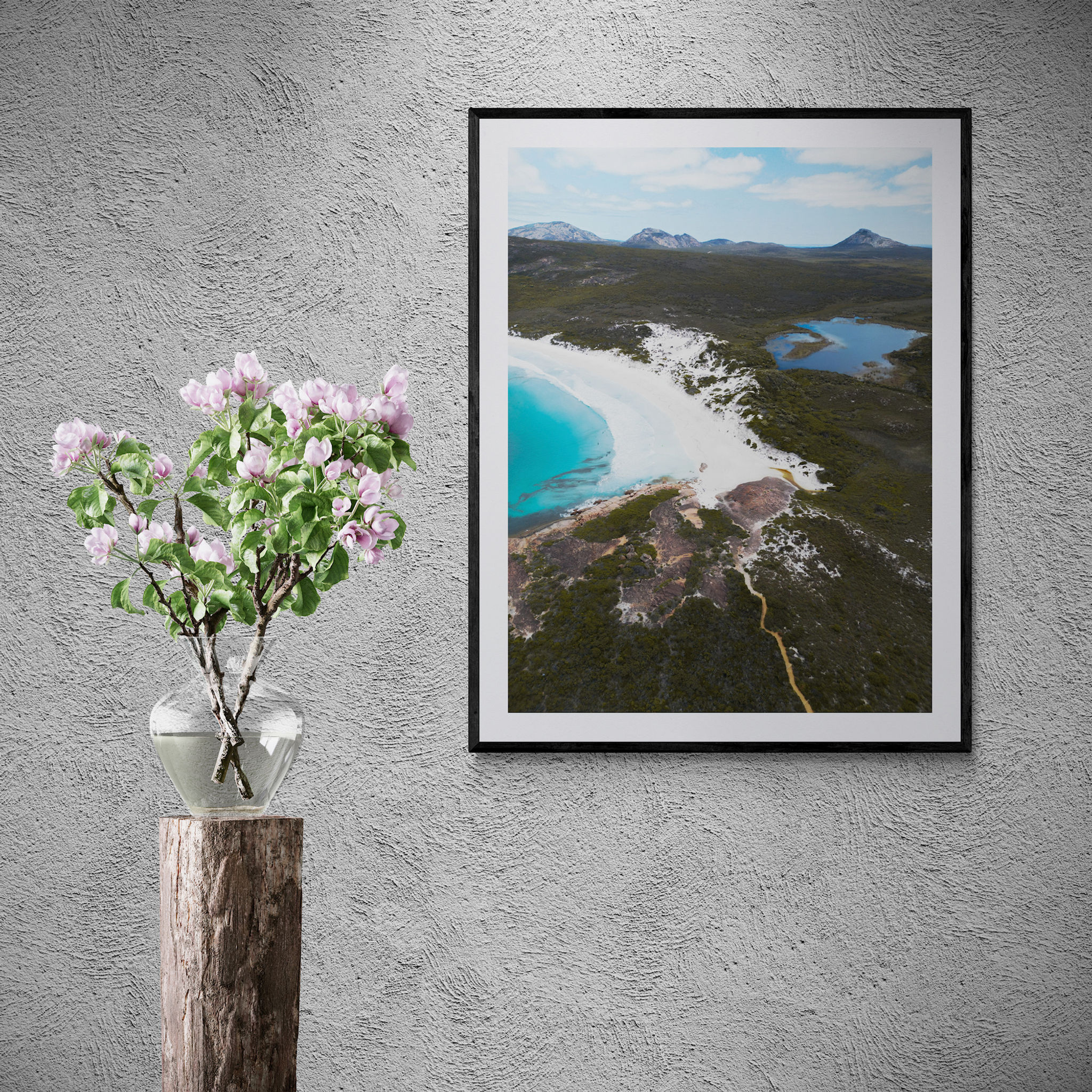 CO091 - Thistle Cove