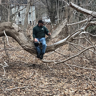 treeprune.jpg