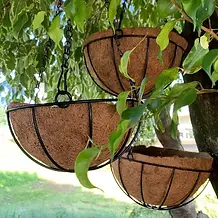Kit 3 Vasos de Fibra de Coco 25cm Suspenso com Corrente Para Plantas E Flores
Vaso Fibra de Coco Orgânico Natural 25cm