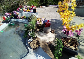 espelho d´água.jpg