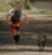 COURSE DES 7 LAUX-14_edited.jpg