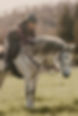 STAGE TREC FINI-2.jpg