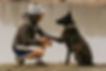 Photographie entre un chien et son maitre par mf photography