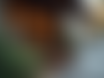 Effective Digital Marketing Strategies for Small Businesses