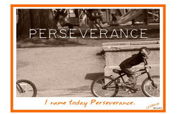 Flash- Perseverance.jpg