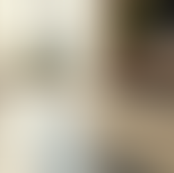 Quality Tile and Flooring Elevate Your Home Design