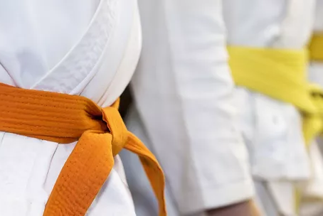 Belt Rank and Titles Don't Matter?!?