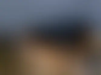 Flat Roof vs. Pitched Roof: What’s Right for Your Home?