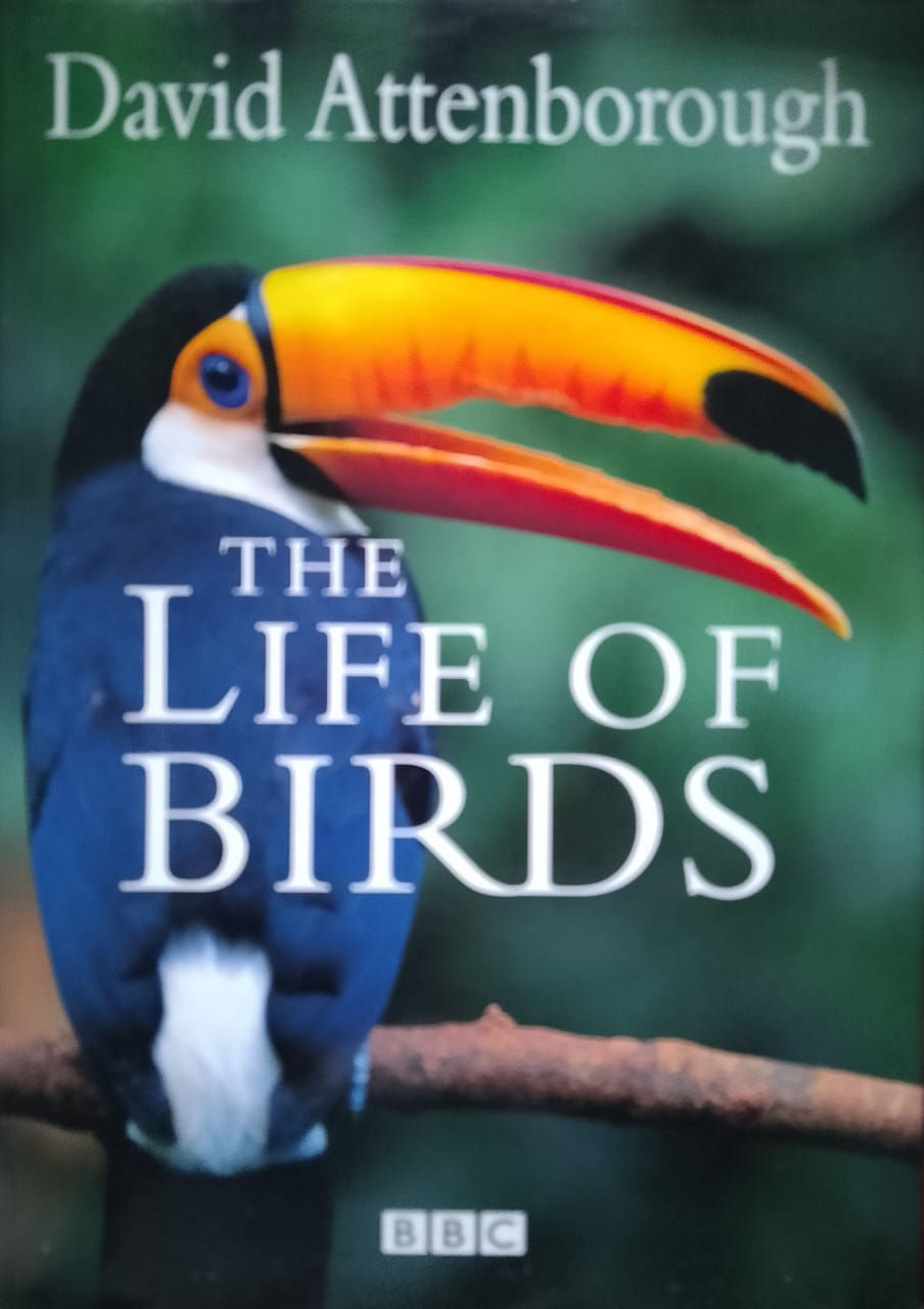 Toucan in The Life of Birds documentary
