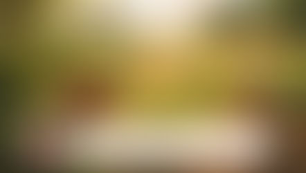 An Indian rural farming landscape with farmers working in fields, symbolizing the connection between food, sustainability, and human life.