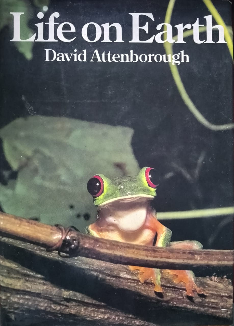 Red-eyed tree frog; David Attenborough