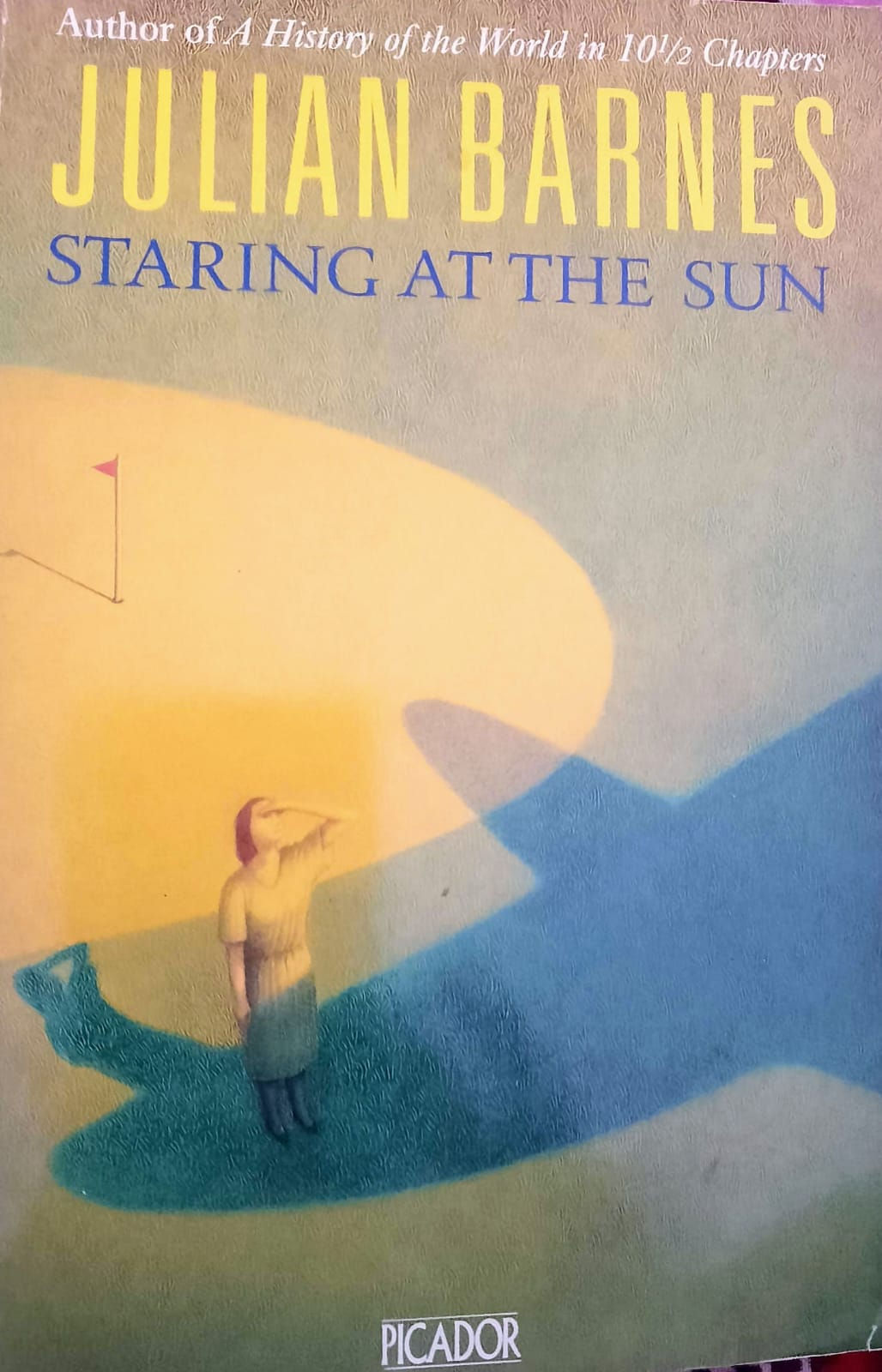 Staring at the Sun by Julian Barnes