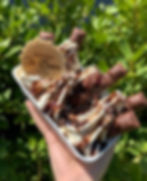 Cornish Whippy Kinder Bueno Tray