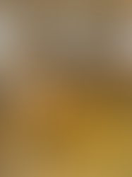 I have a complicated relationship with the winged insect known as the bee. It’s a tale that stems from childhood fears and eventually extends through maturating adulthood. On the fourth of July when I was young, our deck at home had been cleared of a huge bees nest. I trusted my father when he said it was safe, so I naively thought all the bees were gone. Yet I stepped on one, and it wiggled right in between my toes and stung me.