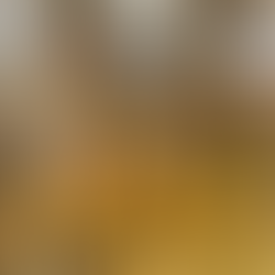 I have a complicated relationship with the winged insect known as the bee. It’s a tale that stems from childhood fears and eventually extends through maturating adulthood.     On the fourth of July when I was young, our deck at home had been cleared of a huge bees nest. I trusted my father when he said it was safe, so I naively thought all the bees were gone. Yet I stepped on one, and it wiggled right in between my toes and stung me.