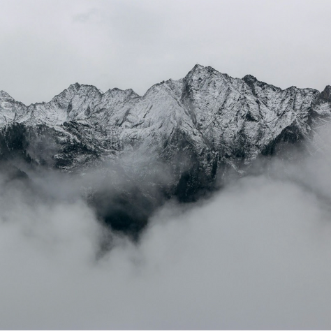 Film Review on Society of the Snow