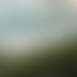 The definition of the word “family” is “the basic unit in society traditionally consisting of two parents rearing their children,” according to Merriam-Webster.   But families are complicated. What about half-siblings? And can you still call someone a member of your family even if you’re estranged?