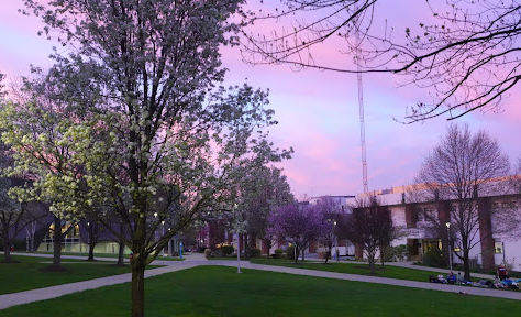 The largest hospitals in Connecticut are cutting transgender services. Permanently.