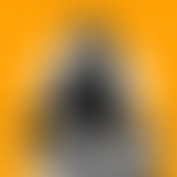 5 Spots That Kept My Stomach (and Spirits) Happy in New Haven