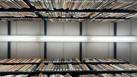 Education spending and digital resources pay off, student intelligence shown to double