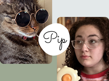 Sitting Down with a Local Cat Celebrity