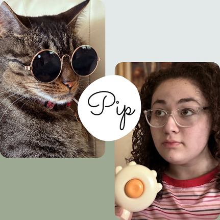 Sitting Down with a Local Cat Celebrity