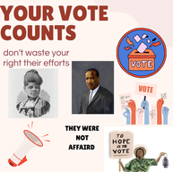 Guns and Badges at the Polls 