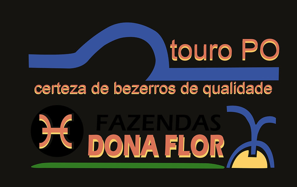 LOGO DONA FLOR_edited