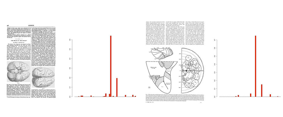 dtm-output_0.jpg