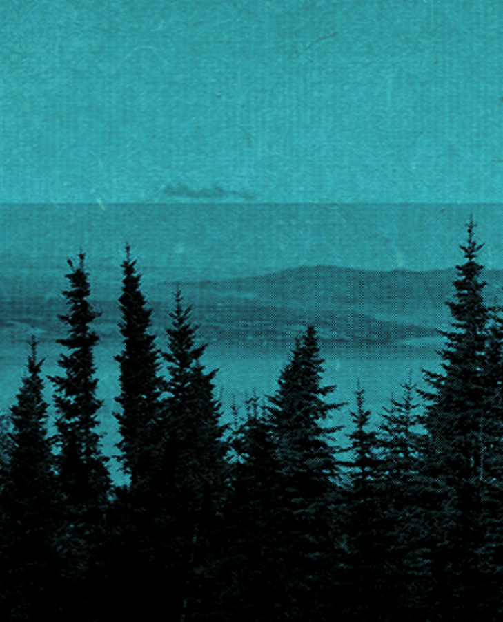 ZBR FEST bg2 2026 SUNDAY.png