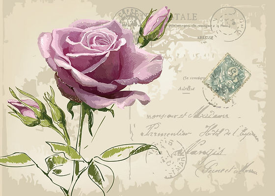 vintage-postcard-with-beautiful-rose-handdrawing-vector-528036_edited.jpg
