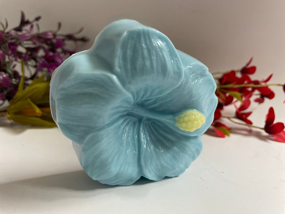 Hibiscus - Blue