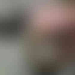 A hand holds a hollowed horn filled with biodynamic ground silica preparation, resting on a weathered wooden surface. Another filled horn lays nearby on the table, creating a rustic feel.