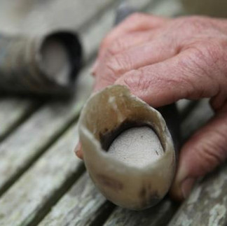 A hand holds a hollowed horn filled with biodynamic ground silica preparation, resting on a weathered wooden surface. Another filled horn lays nearby on the table, creating a rustic feel.