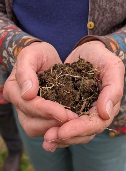 Hands holding a soil with roots showing. Person wears a colorful patterned sweater. Background is blurred, evoking an earthy, natural setting.
