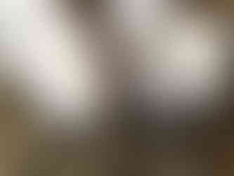 Two sheep with yellow ear tags stand closely on straw bedding, looking up at the camera. They have just been shorn. The scene is bright and rustic.