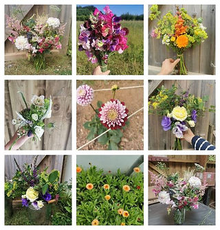Grid collage of diverse biodynamic flower bouquets with vivid colours like pinks, yellows, and purples. Shown against outdoor grassy fields and wooden panels as backgrounds, showing lush blooms.