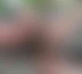 Hands working with biodynamic preparations in bowls on a wooden table. Outdoor setting with green grass and flowers in the background. Teamwork and gardening mood.
