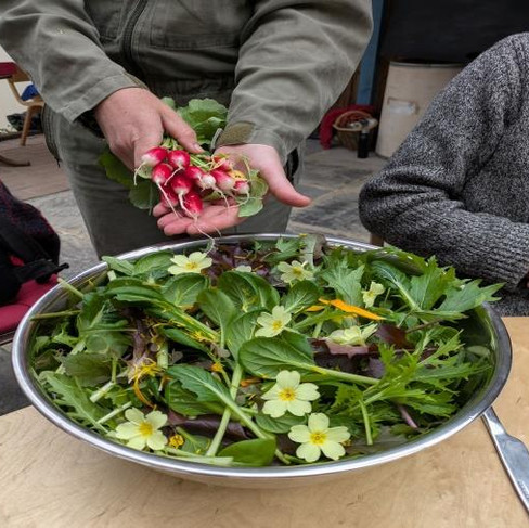 Hands holding biodynamically grown radishes over a large bowl of edible mixed greens and flowers on a wooden table. Casual indoor setting with a cozy atmosphere.