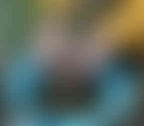 Woman wearing a yellow sweater, her hands tying up a stag bladder over a blue bowl on a wooden table, surrounded by jars and green grass in the background.