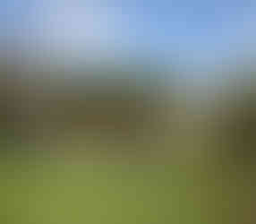 A group of people stand and converse in a sunny garden with green grass and trees. A metal frame and a cloudy blue sky are visible.