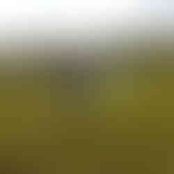 A smiling person wearing overalls holding out a long sprayer in a grassy field. A blue sky, rolling hills and trees are in the background.